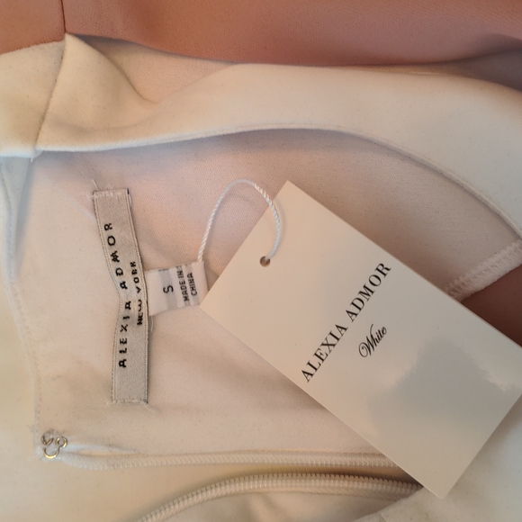 Alexia Admor Sleeveless Cut Out Neckline Color Block Scuba Knit Dress NWT Size S - Picture 3 of 6